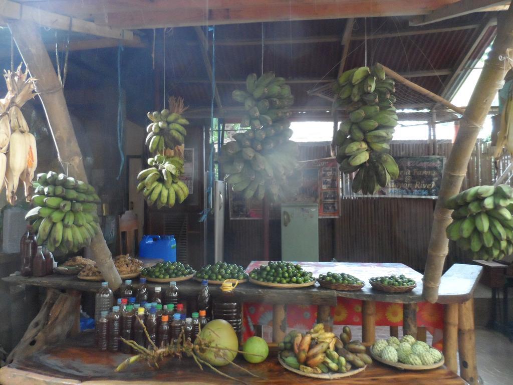 Victoria Guest House And Cottages Puerto Princesa Exterior foto