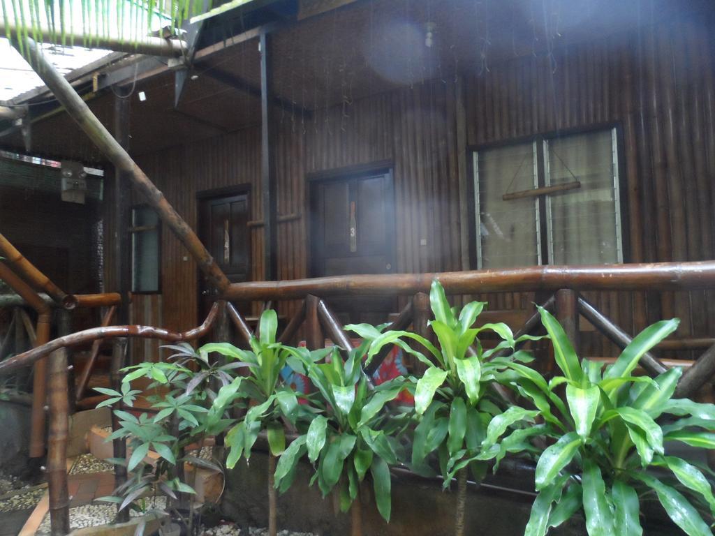 Victoria Guest House And Cottages Puerto Princesa Exterior foto